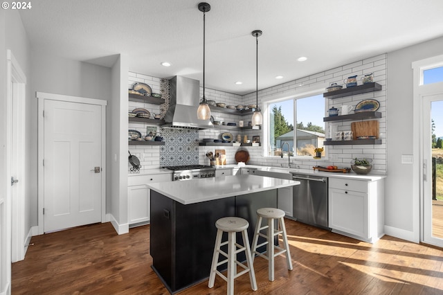 kitchen featuring a healthy amount of sunlight, wall chimney exhaust hood, open shelves, and stainless steel dishwasher