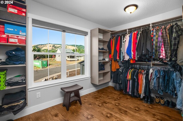 walk in closet featuring hardwood / wood-style floors