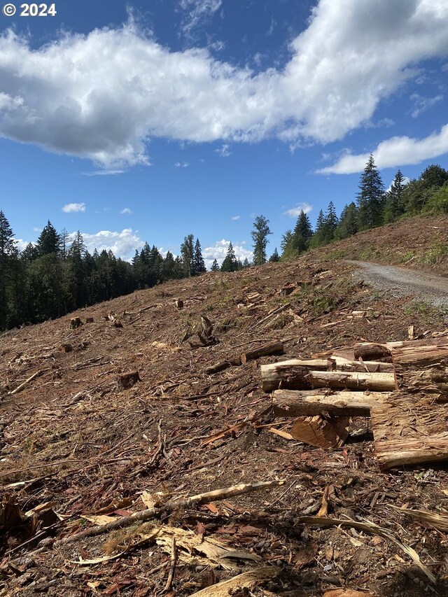 S Hult Rd, Beavercreek, OR 97004