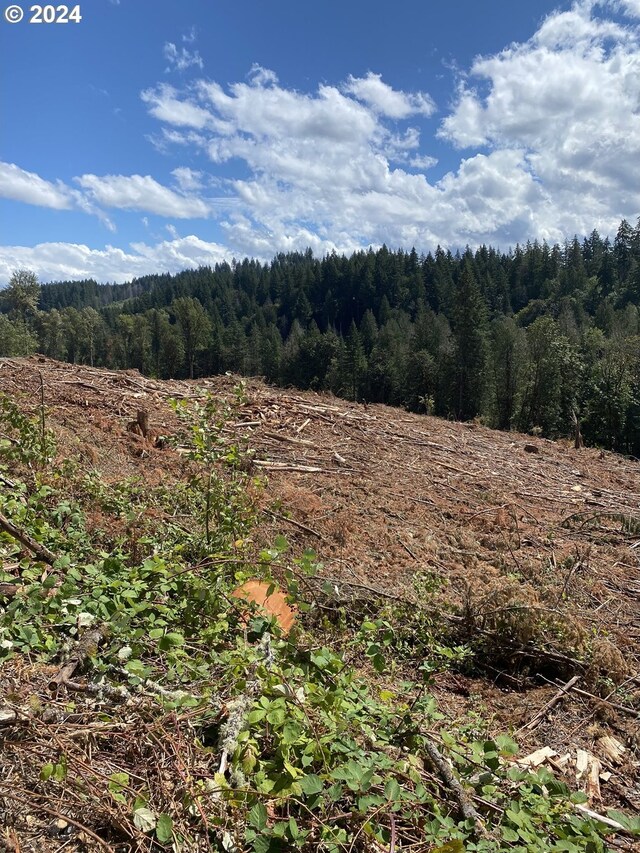 S Hult Rd, Beavercreek, OR 97004