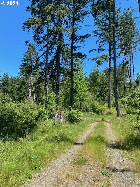 S Hult Rd, Beavercreek, OR 97004
