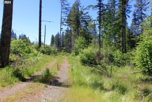 S Hult Rd, Beavercreek, OR 97004