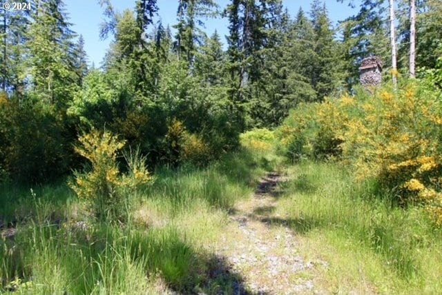 S Hult Rd, Beavercreek, OR 97004