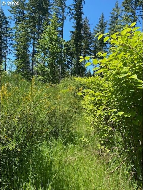 S Hult Rd, Beavercreek, OR 97004