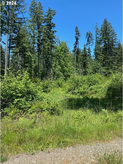 S Hult Rd, Beavercreek, OR 97004