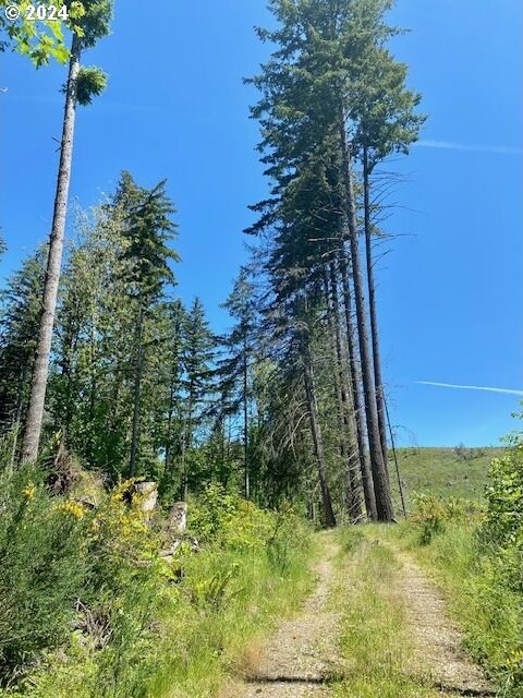 S Hult Rd, Beavercreek, OR 97004