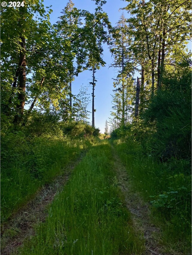 S Hult Rd, Beavercreek, OR 97004