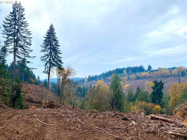 S Hult Rd, Beavercreek, OR 97004