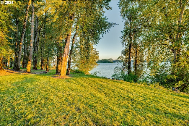 view of yard featuring a water view