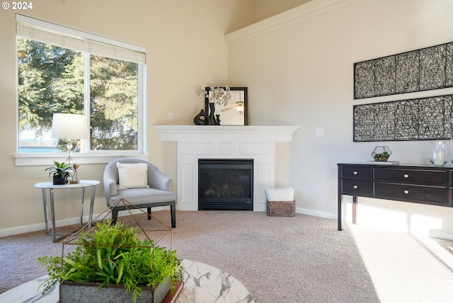 living area with plenty of natural light and carpet floors