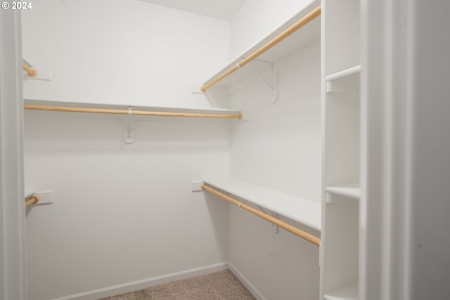 walk in closet with carpet flooring