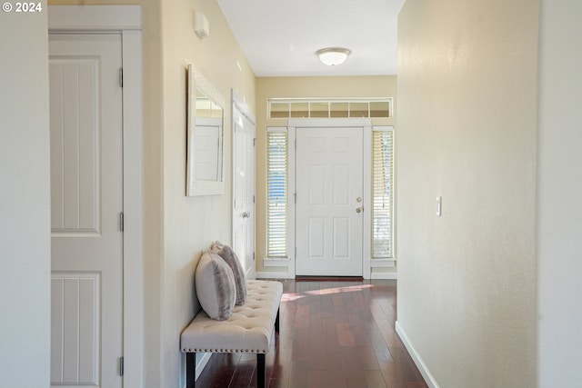 entryway featuring dark wood-type flooring