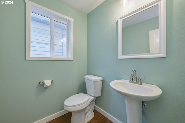 bathroom with wood-type flooring and toilet