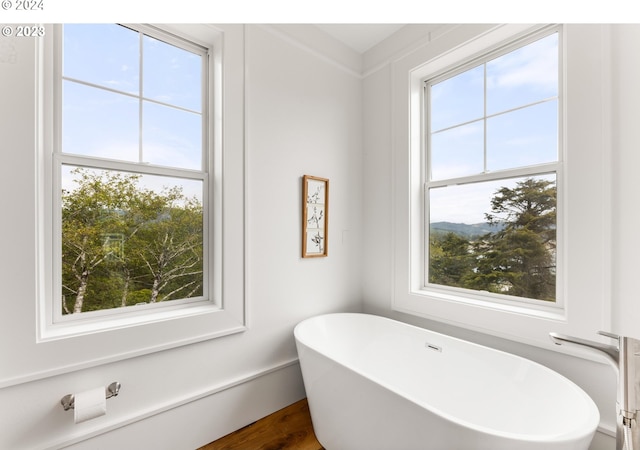 bathroom with plenty of natural light and hardwood / wood-style floors