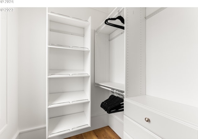 spacious closet with hardwood / wood-style floors