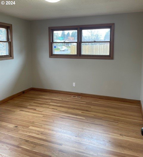 spare room featuring a healthy amount of sunlight and light hardwood / wood-style flooring