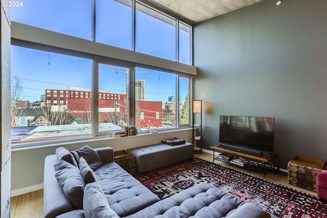 living room featuring hardwood / wood-style floors