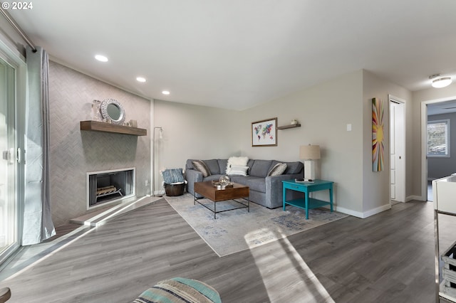 living room with hardwood / wood-style floors and a large fireplace