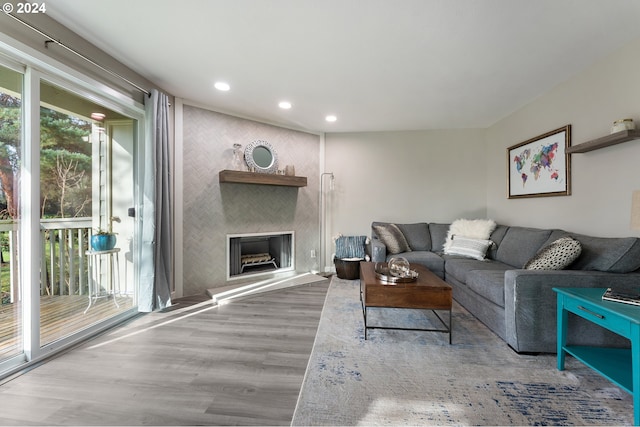 living room featuring hardwood / wood-style flooring