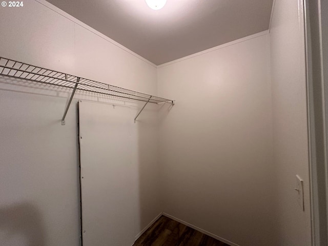 walk in closet featuring dark hardwood / wood-style floors