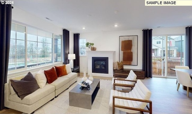 living room featuring light hardwood / wood-style flooring and plenty of natural light