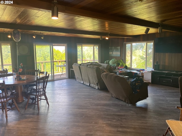 living room featuring beamed ceiling, a healthy amount of sunlight, dark wood-type flooring, and wood ceiling