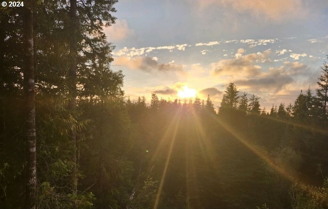 view of nature at dusk