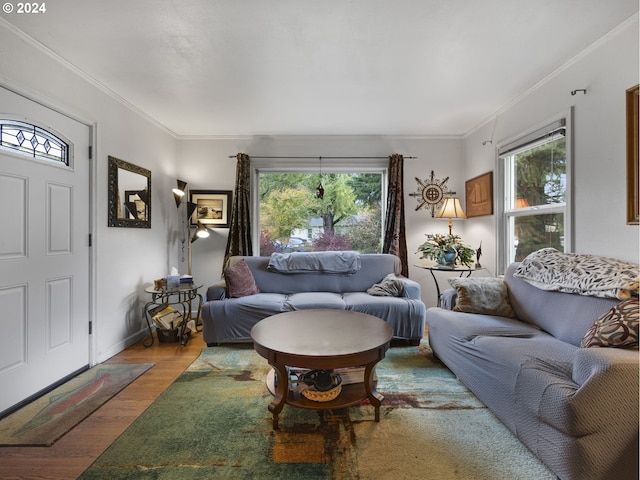 living room with ornamental molding, wood-type flooring, and a wealth of natural light