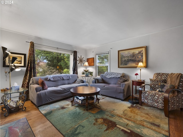 living room with wood-type flooring and ornamental molding