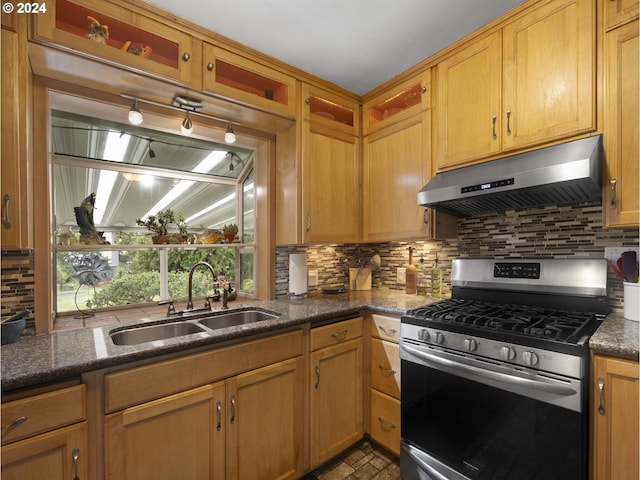 kitchen with gas range, decorative backsplash, and sink