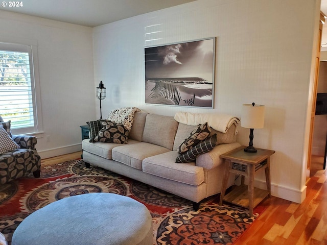 living room featuring wood-type flooring and crown molding