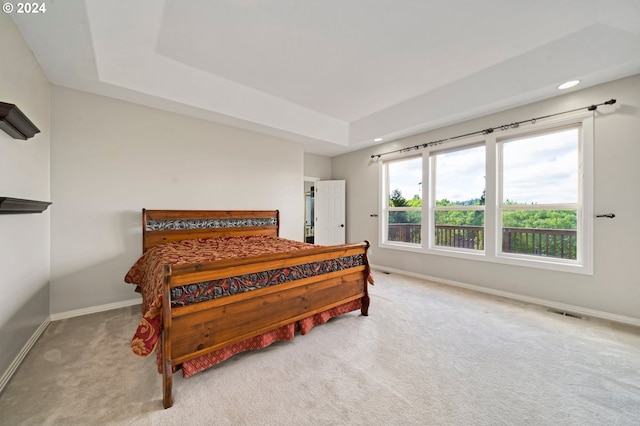 bedroom with light colored carpet and a raised ceiling