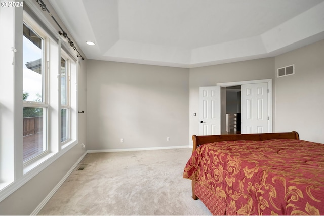 carpeted bedroom featuring a raised ceiling