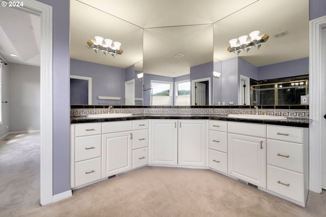 bathroom with vanity and a shower with shower door