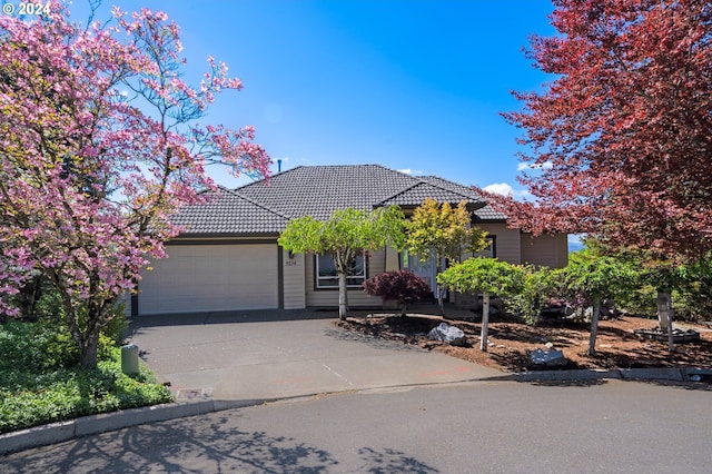 view of front of house featuring a garage, concrete driveway, and a tile roof