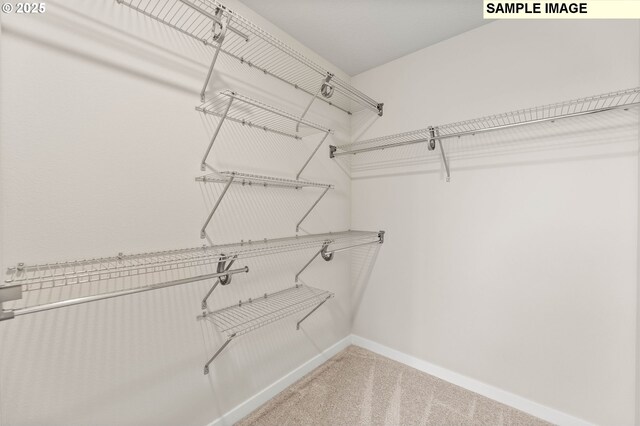 1376 NE Josephine Ct Unit 184, Estacada, OR 97023 - spacious closet with light carpet