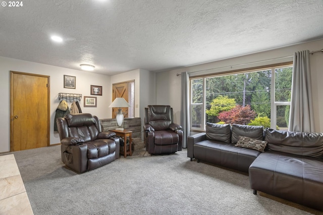 living room featuring a textured ceiling and carpet flooring