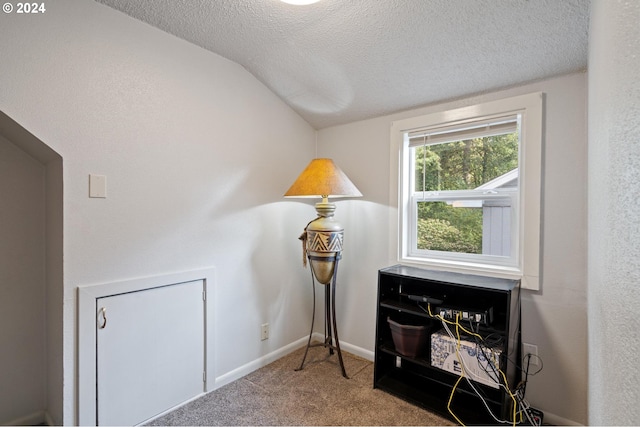 interior space with carpet, vaulted ceiling, and a textured ceiling