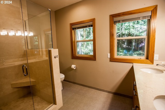 bathroom with vanity, toilet, and a shower with door