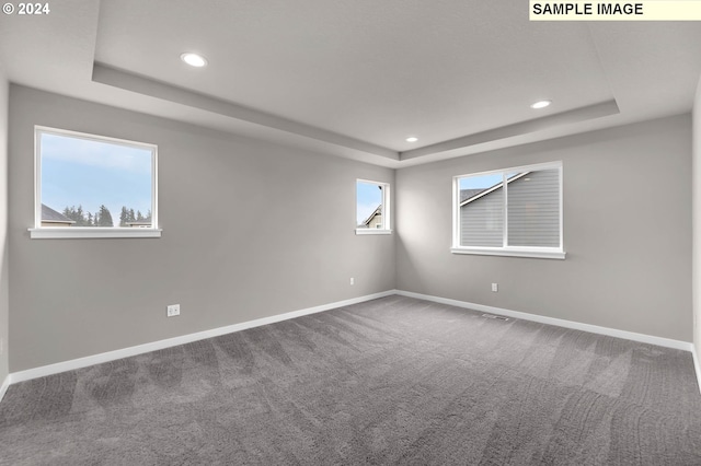 unfurnished room featuring a raised ceiling and carpet flooring