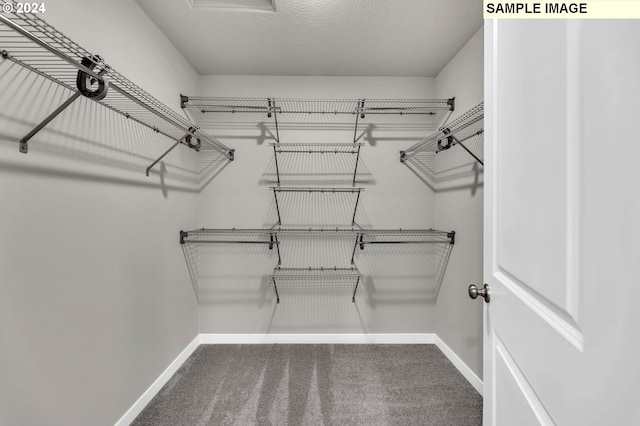 walk in closet with carpet flooring