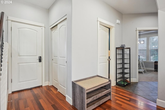 hall with dark wood-type flooring