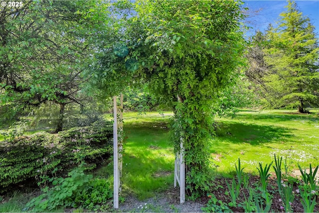 view of nature with a nearby body of water
