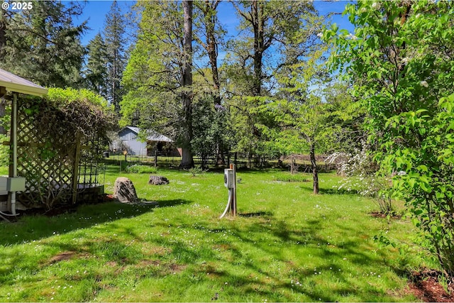 view of yard
