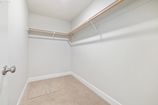 walk in closet featuring carpet