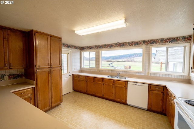 kitchen with a textured ceiling, a wealth of natural light, sink, and white appliances