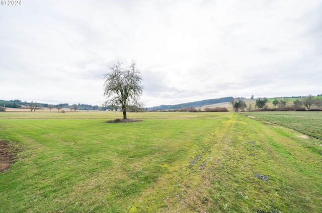 view of yard with a rural view