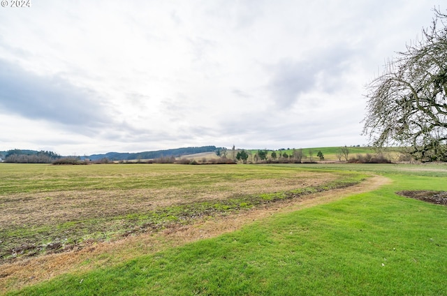 view of yard featuring a rural view