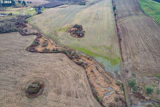 drone / aerial view featuring a rural view