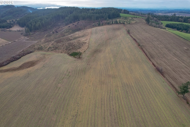 bird's eye view featuring a rural view